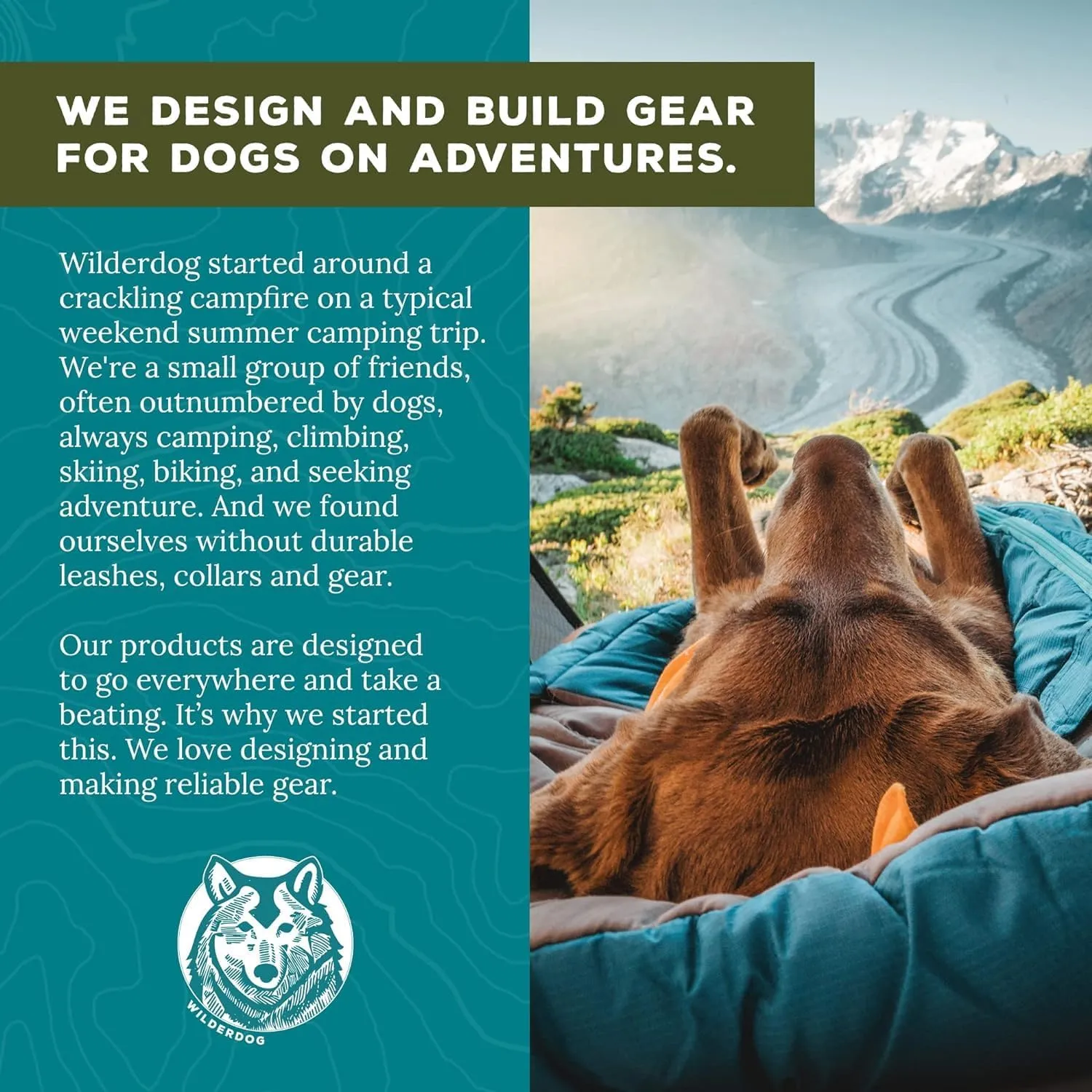 Wilderdog Dog Backpack with Built in Harness and Back-Mounted D-Ring Leash Attachment, Handle, Two Saddlebags with 4 Total Pockets, Built in Poop Bag Dispenser (Pacific Blue, Large)
