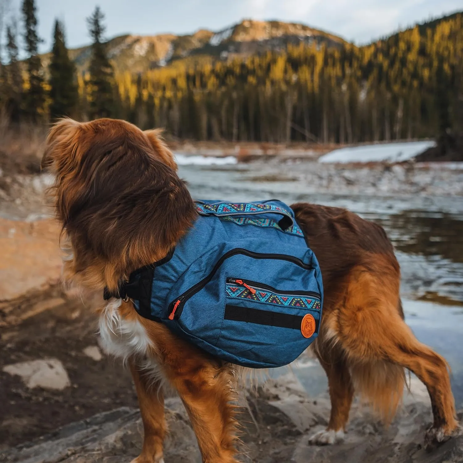 Wilderdog Dog Backpack with Built in Harness and Back-Mounted D-Ring Leash Attachment, Handle, Two Saddlebags with 4 Total Pockets, Built in Poop Bag Dispenser (Pacific Blue, Large)