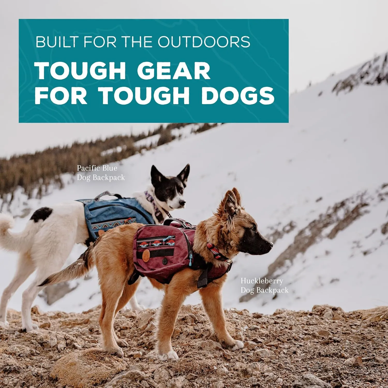 Wilderdog Dog Backpack with Built in Harness and Back-Mounted D-Ring Leash Attachment, Handle, Two Saddlebags with 4 Total Pockets, Built in Poop Bag Dispenser (Pacific Blue, Large)